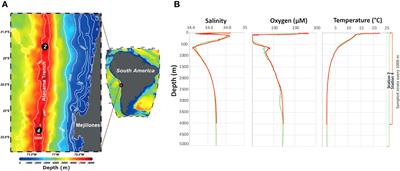 Revealing zooplankton diversity in the midnight zone